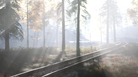 empty-railway-goes-through-foggy-forest-in-morning